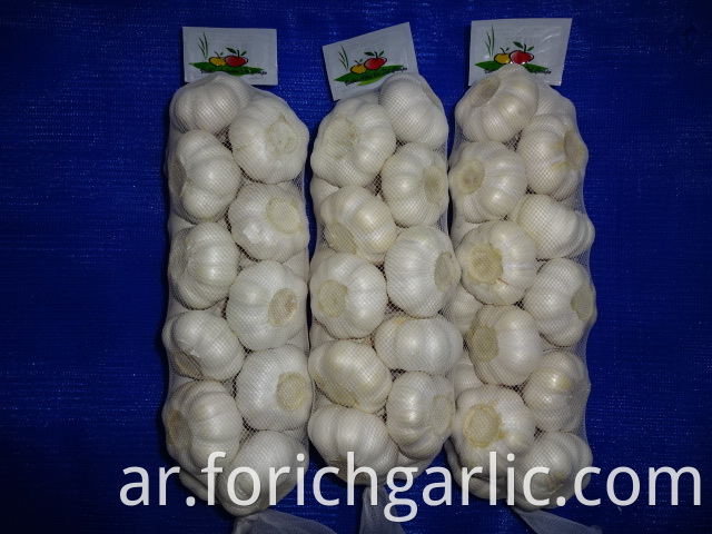 Best Quality Pure White Garlic 2019